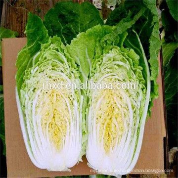 wholesale shandong carrot cabbage prices export to Sri Lanka